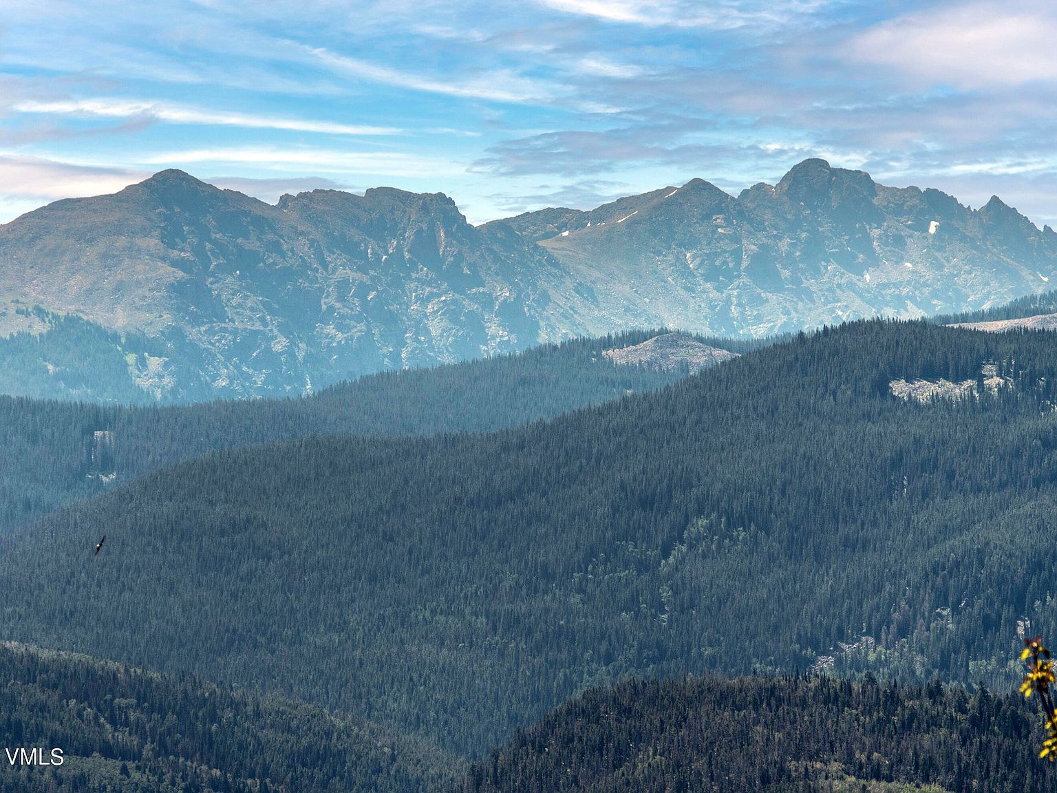 907 Webb Peak Edwards, CO 81632 - Thumbnail 3