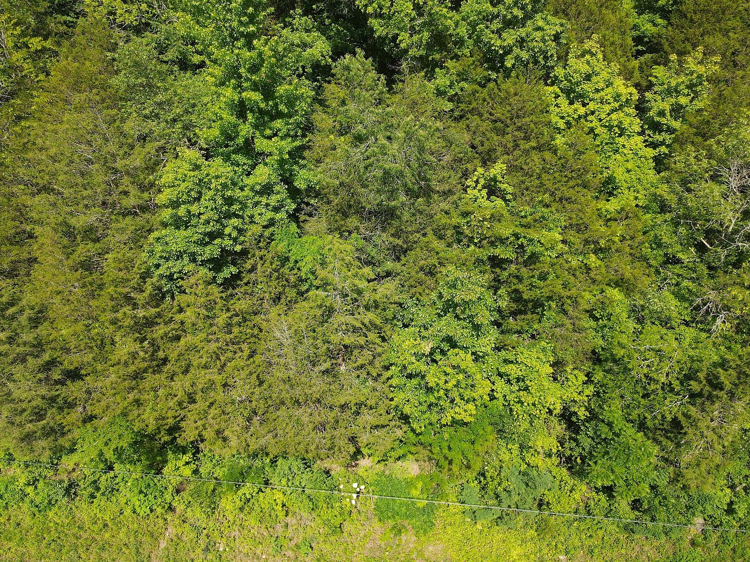 3400 Sycamore Creek Rd Woodbury, TN 37190 - Thumbnail 3