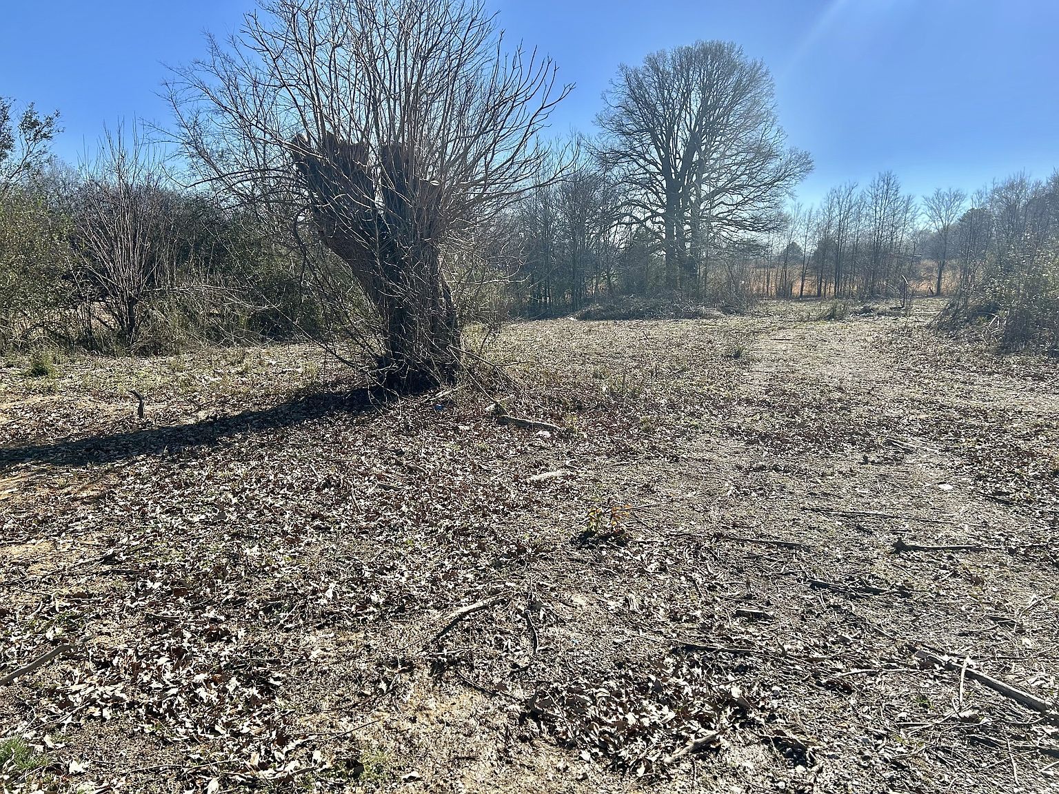 2410 Asbury Rd Manchester, TN 37355 - Thumbnail 3