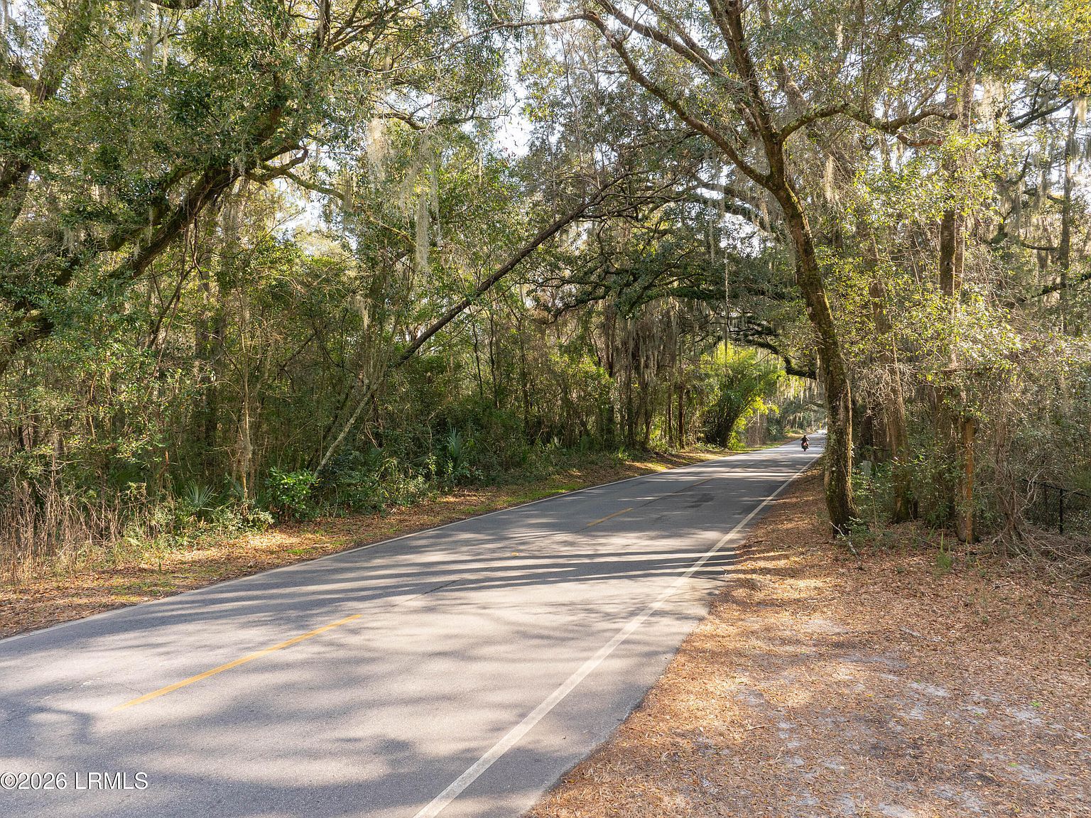 Meridian Rd Beaufort, SC 29907 - Thumbnail 3