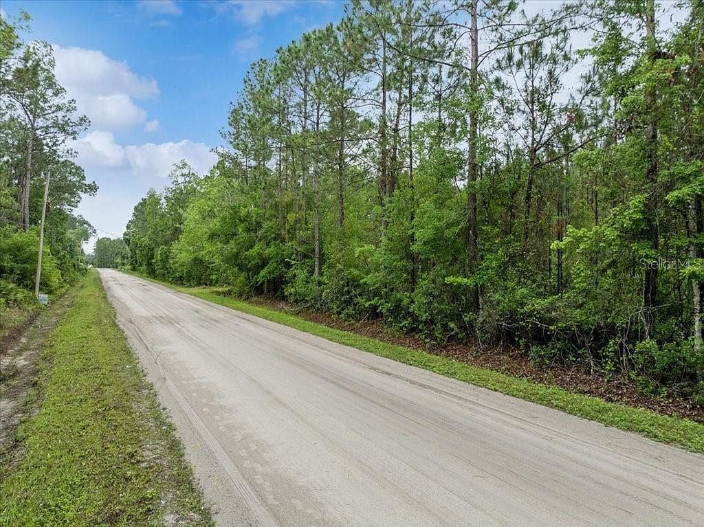 1756 Hazelnut St Lot 23 Bunnell, FL 32110 - Thumbnail 3