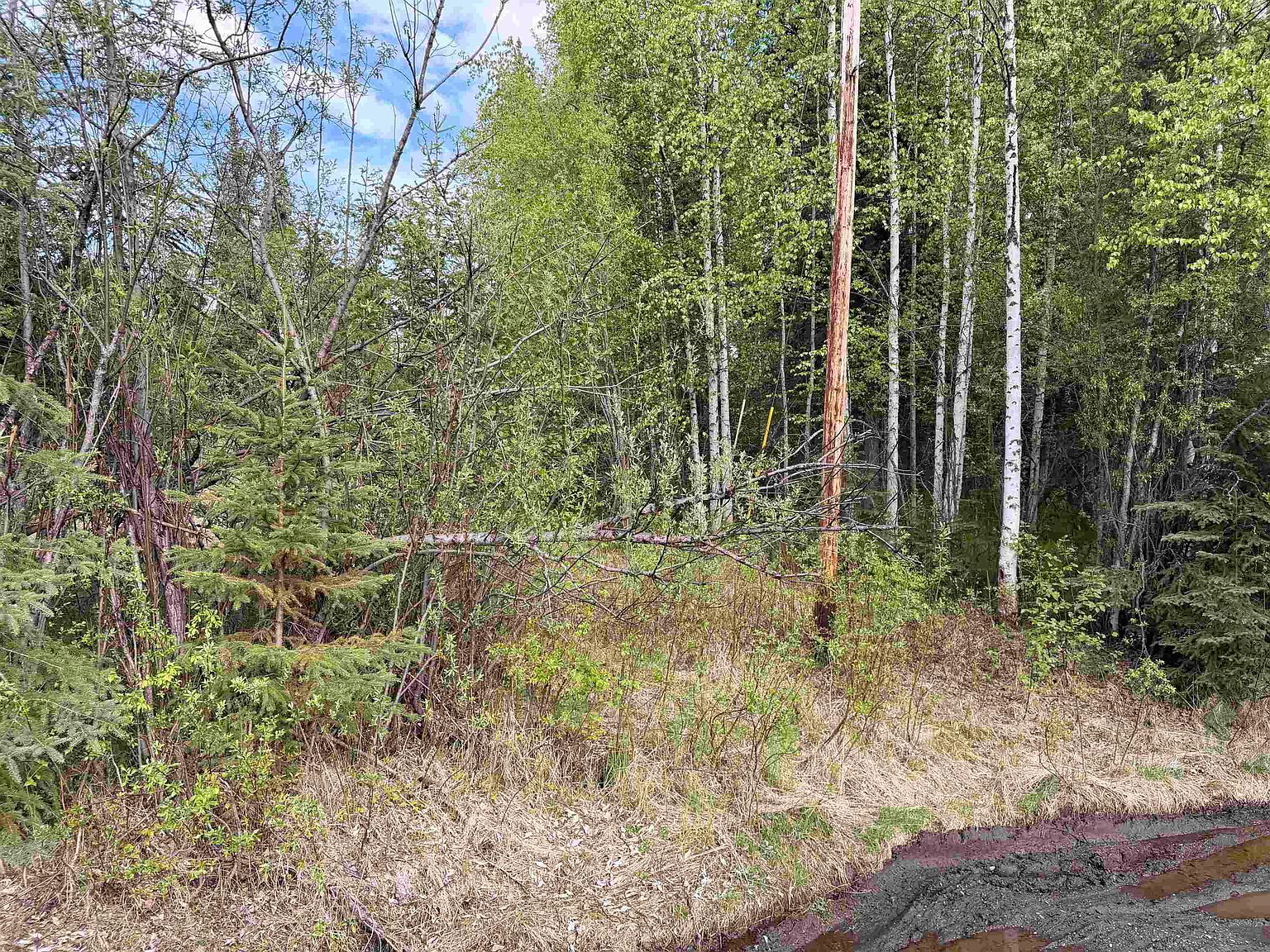 278 Narrow View Ln Fairbanks, AK 99712 - Thumbnail 3