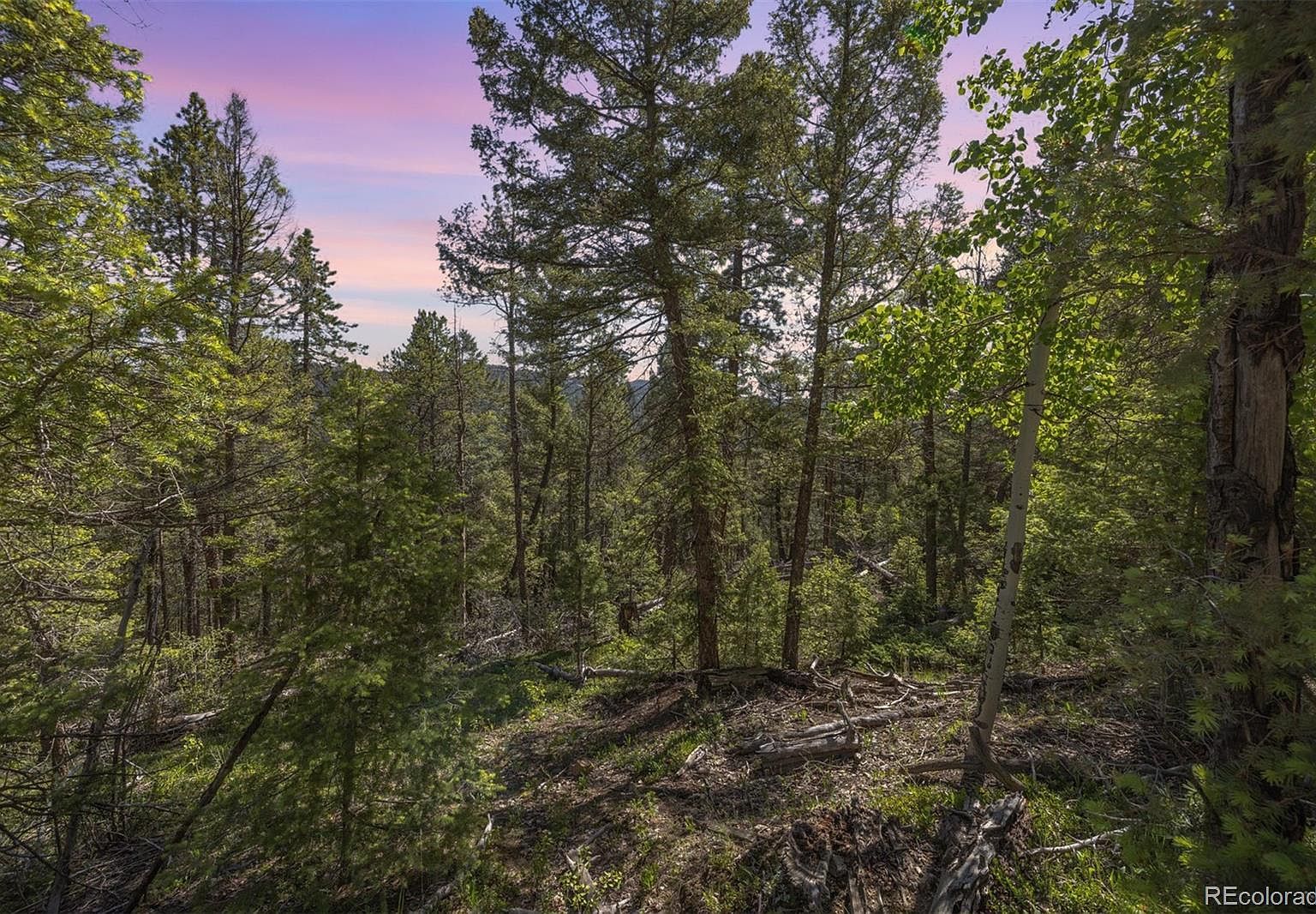 0 Ponderosa Dr Conifer, CO 80433 - Thumbnail 3