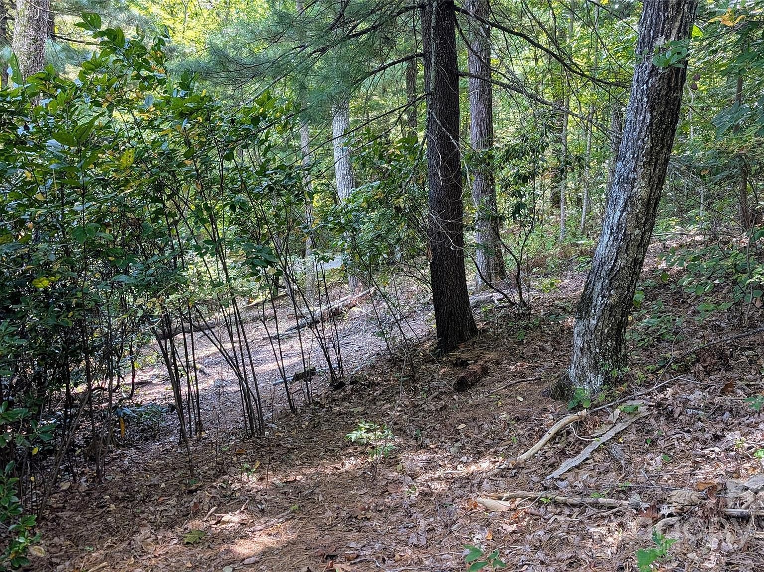 101 Scenic Dr #74 Flat Rock, NC 28731 - Thumbnail 3