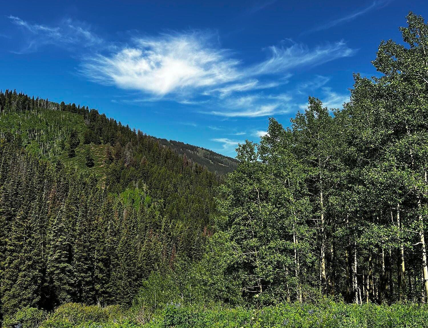 2601 Midnight Mine Rd Aspen, CO 81611 - Thumbnail 3