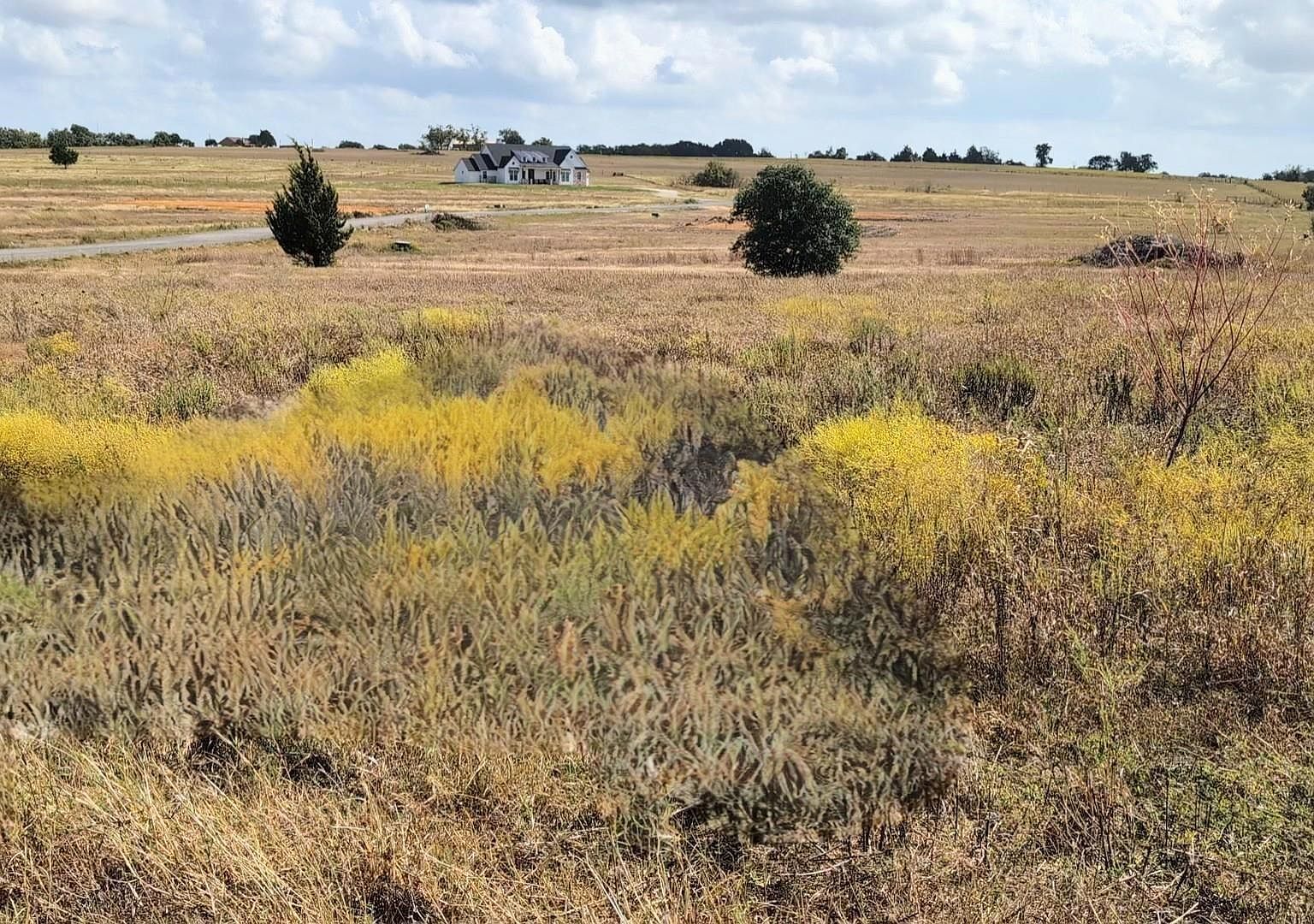 Independence Trl Burton, TX 77835 - Thumbnail 3