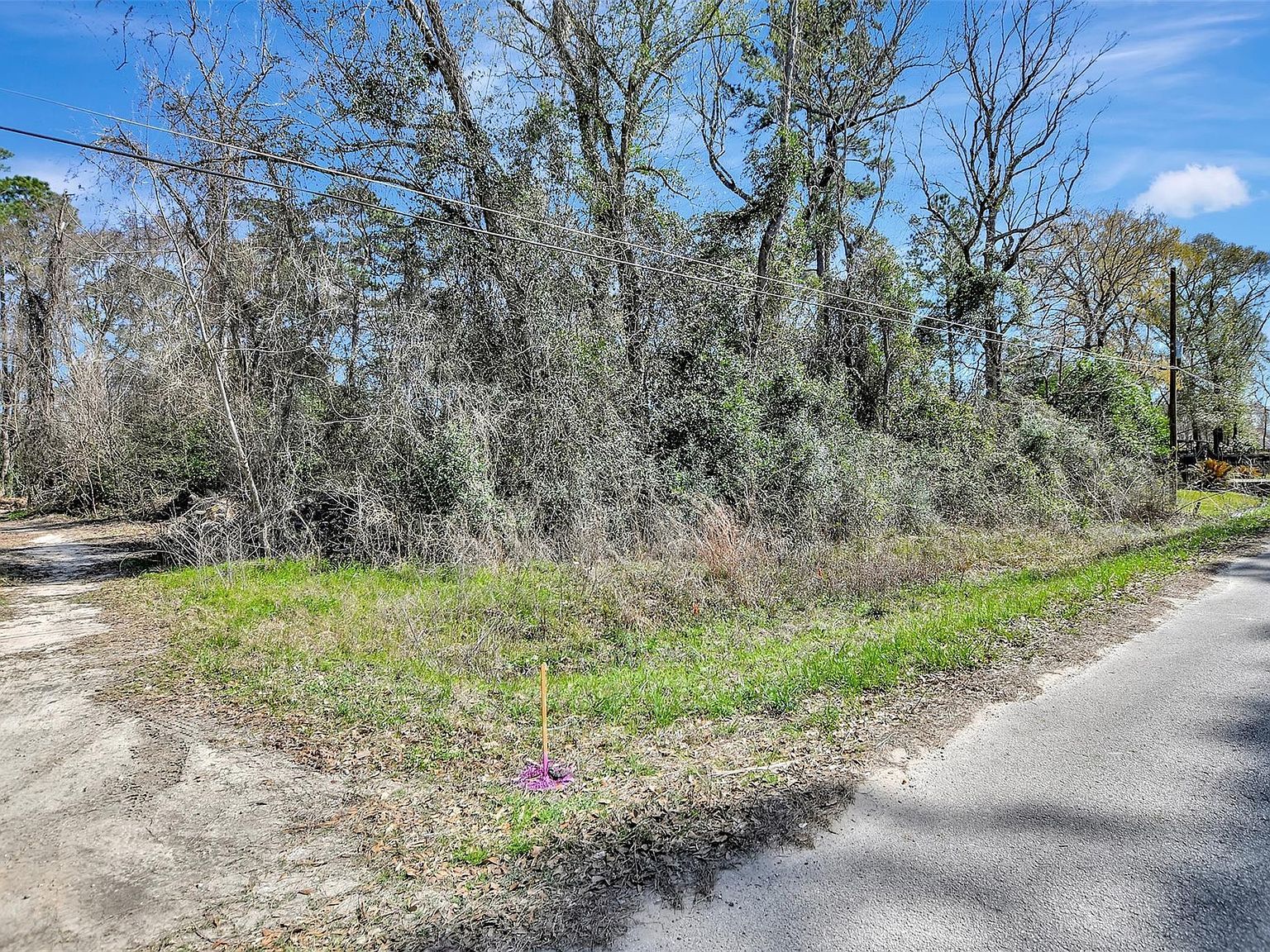 LOT 112 White Birch Ln Conroe, TX 77385 - Thumbnail 3