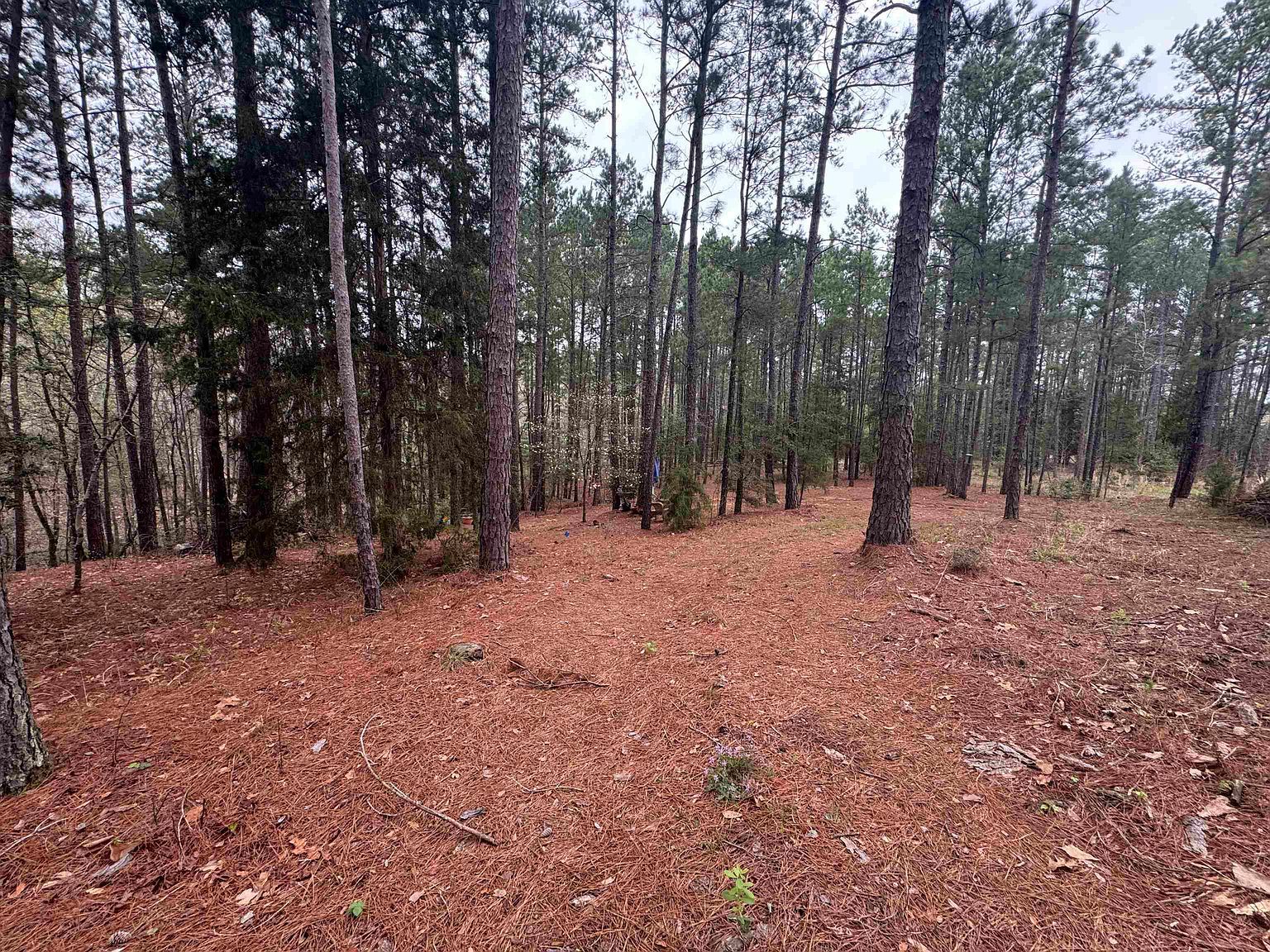 Lots 9 11 Lake Gladewater Rd Gladewater, TX 75647 - Thumbnail 3