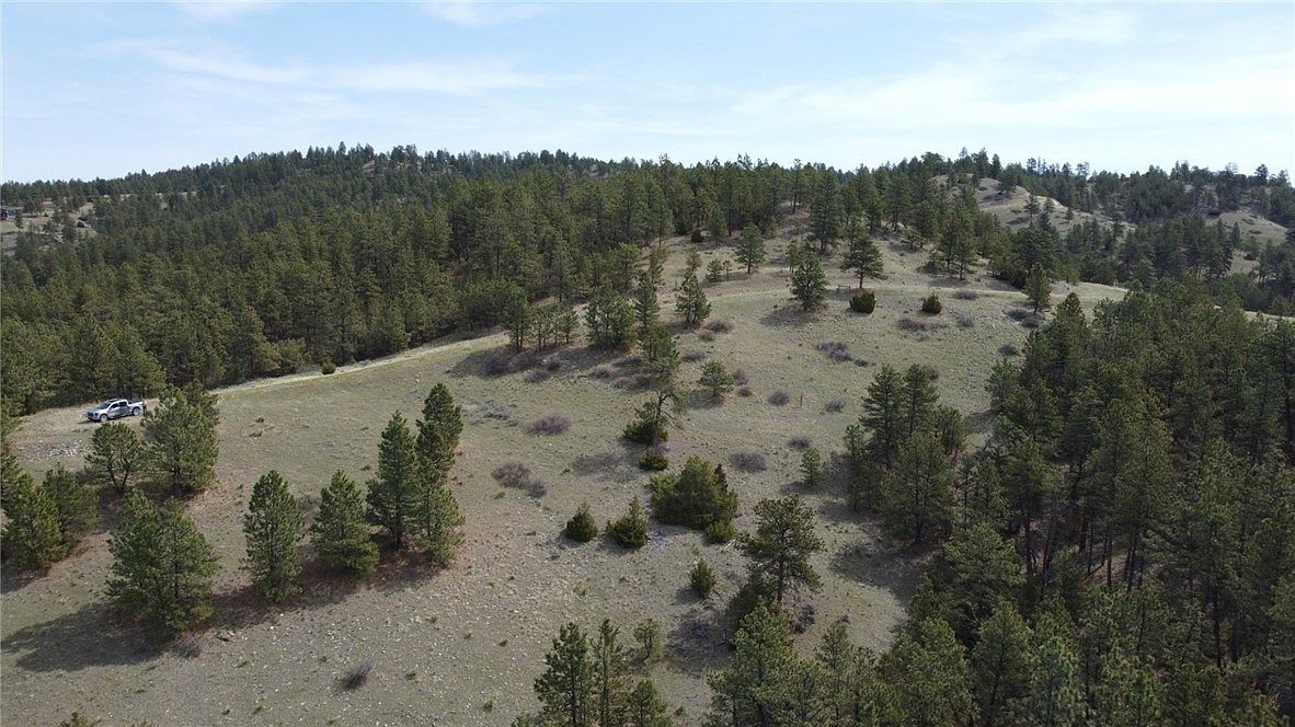 LOT 149 Horse Apple Rd Columbus, MT 59019 - Thumbnail 3