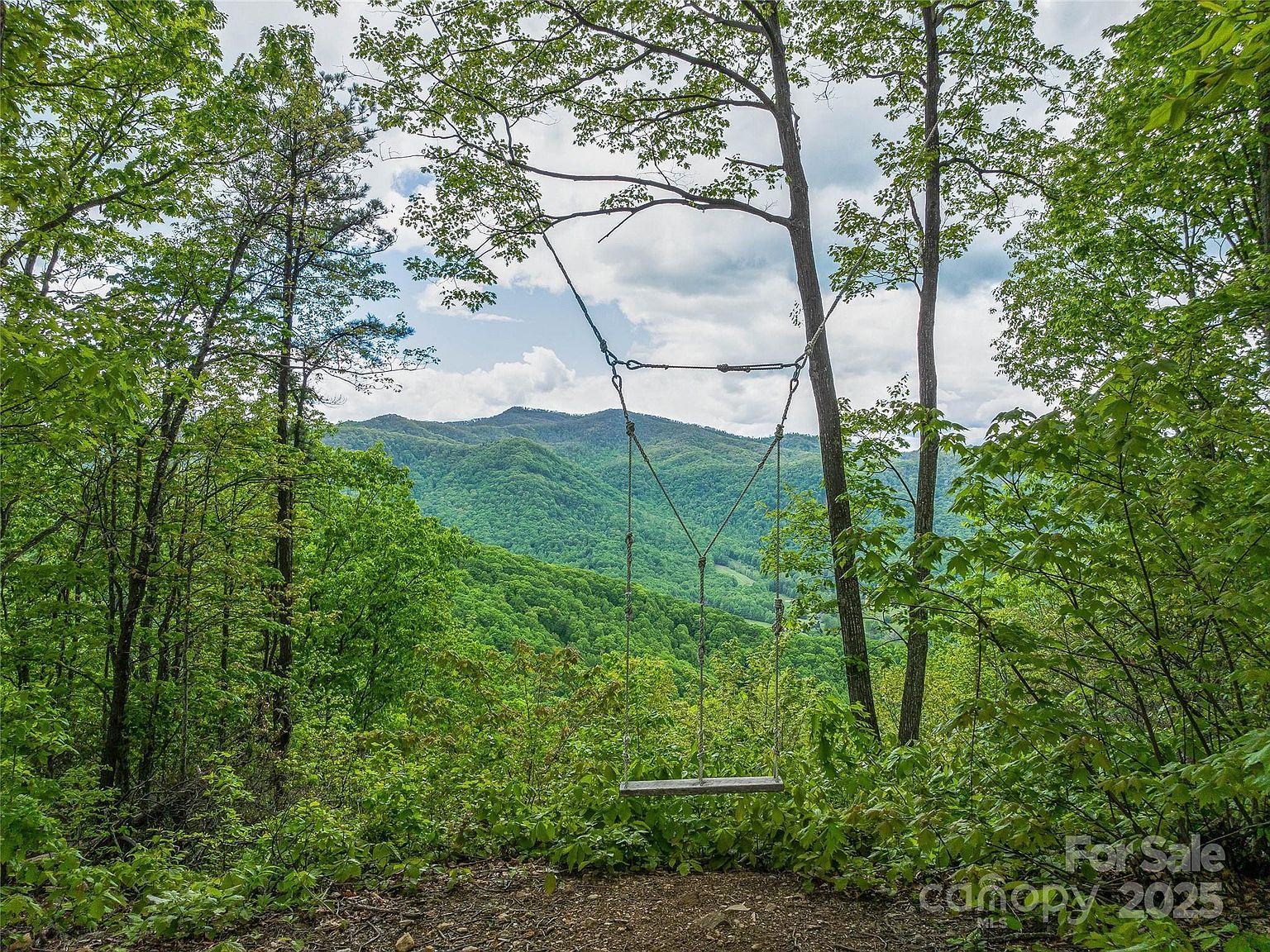 59 Pisgah Mountain Trl Candler, NC 28715 - Thumbnail 3