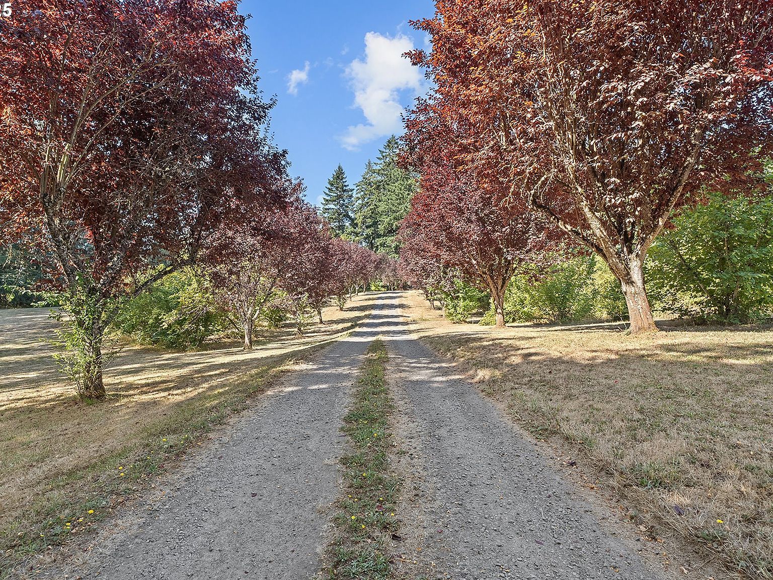 33150 NE Wilsonville Rd Newberg, OR 97132 - Thumbnail 3