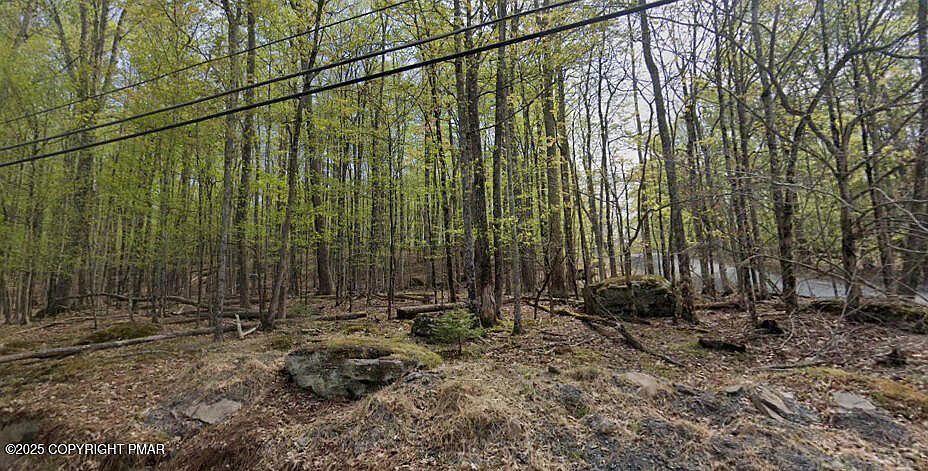 597 Upper Playground Trl Hawley, PA 18428 - Thumbnail 3