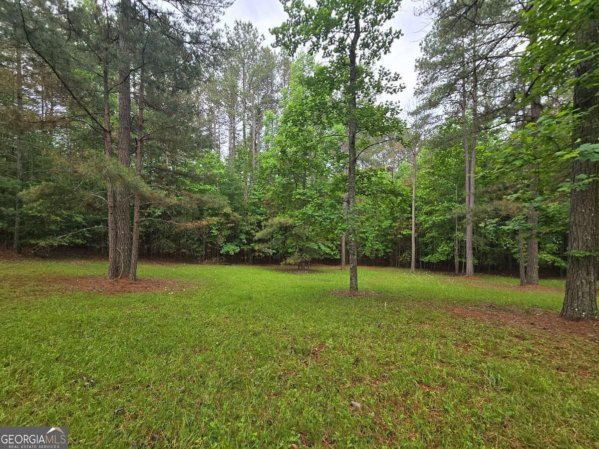 0 Sweetwater Ln Blairsville, GA 30512 - Thumbnail 3