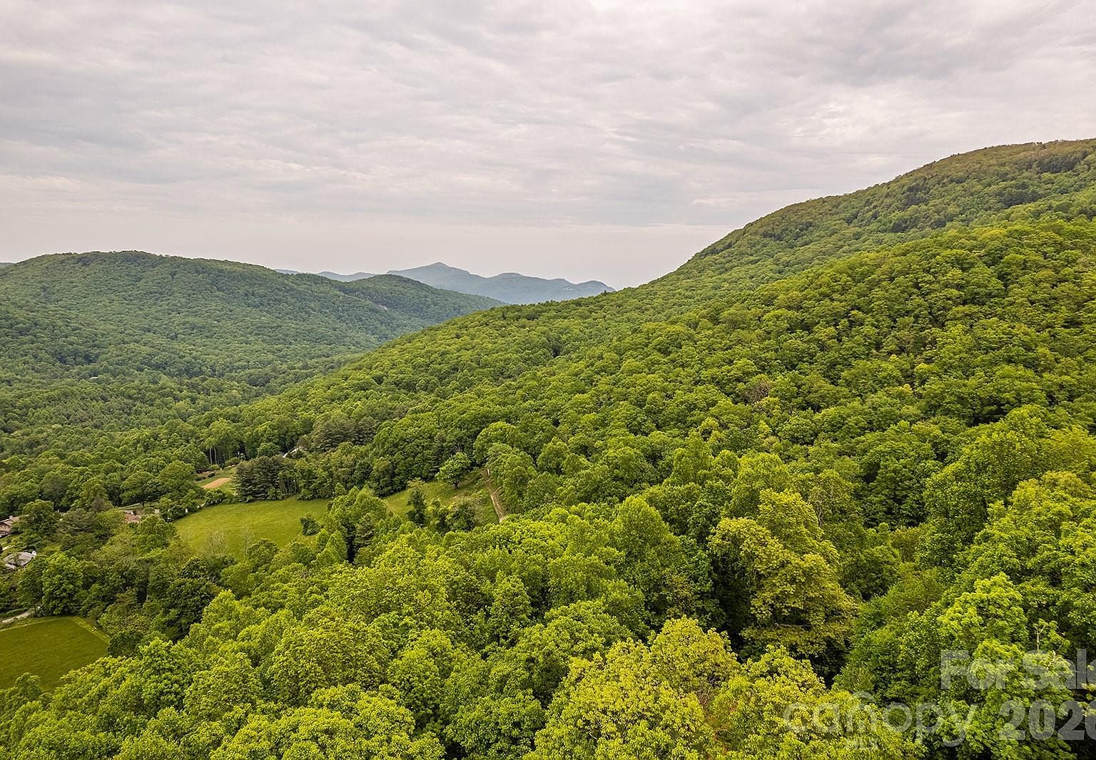 176 McGuffey Ridge Rd Gerton, NC 28735 - Thumbnail 3