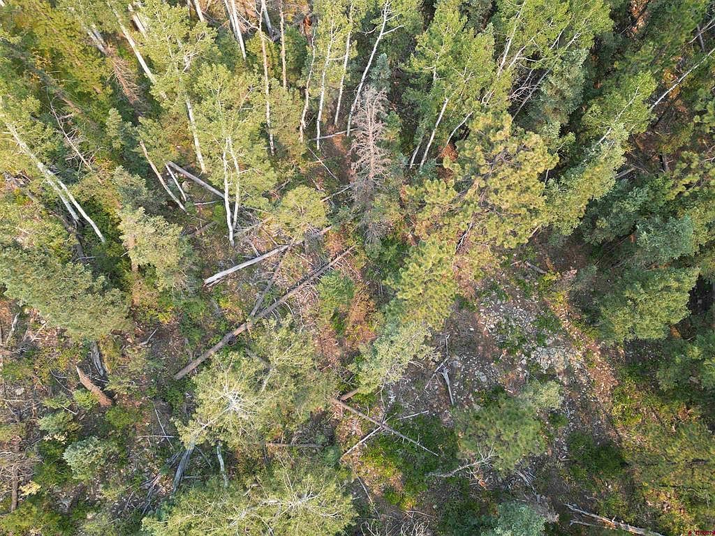 48 Ponderosa Way, Durango, CO, 81301 - Thumbnail 3