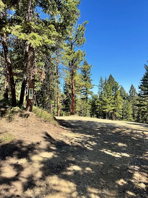 1798 Rocky Top Rd Hamilton, MT 59840 - Thumbnail 3