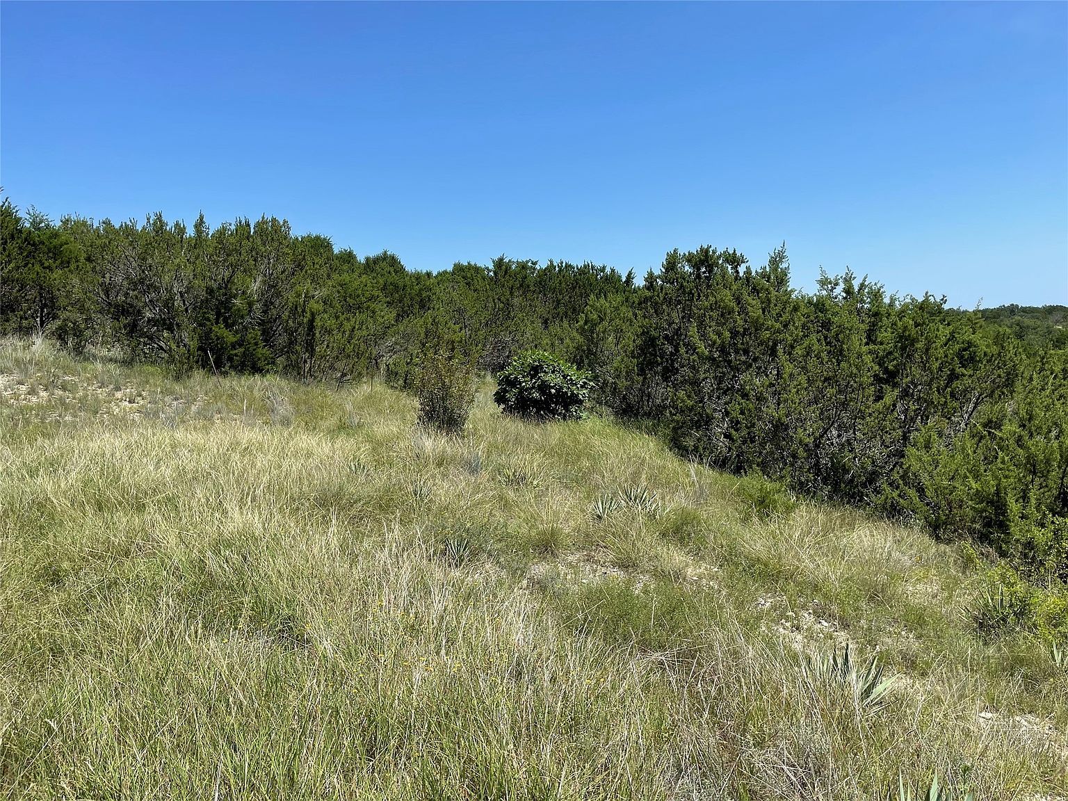 1425 Skyline Dr Bluff Dale, TX 76433 - Thumbnail 3