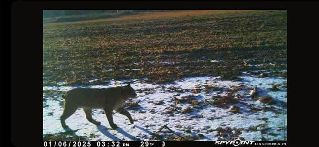 E21504 Karow Rd Augusta, WI 54722 - Thumbnail 3