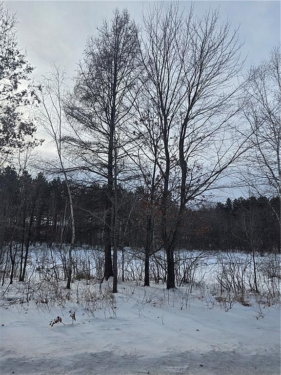 0 County Highway G Holcombe, WI 54745 - Thumbnail 3