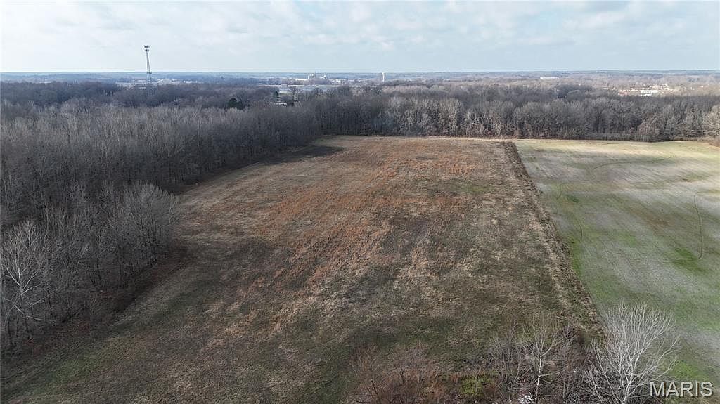 693 County Road 605 Poplar Bluff, MO 63901 - Thumbnail 3