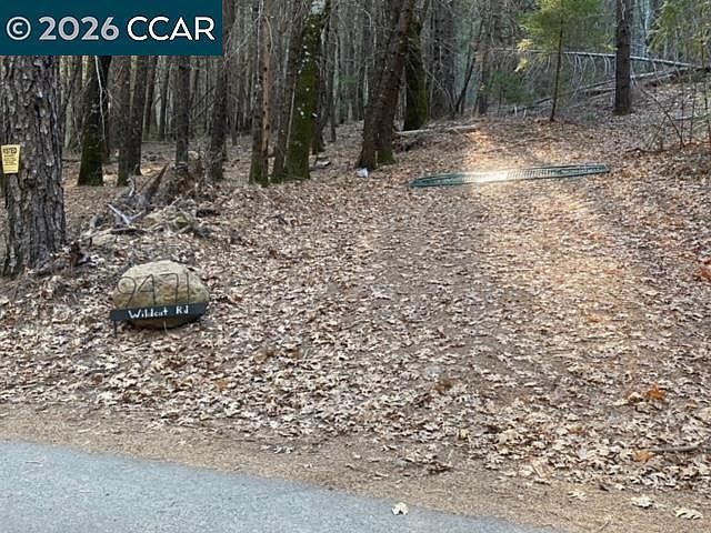 9471 Wildcat Rd Kelseyville, CA 95451 - Thumbnail 3