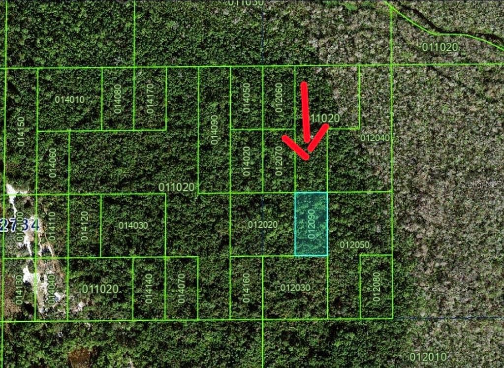 Unincorporated Lot 34 Kissimmee, FL 34759 - Thumbnail 3