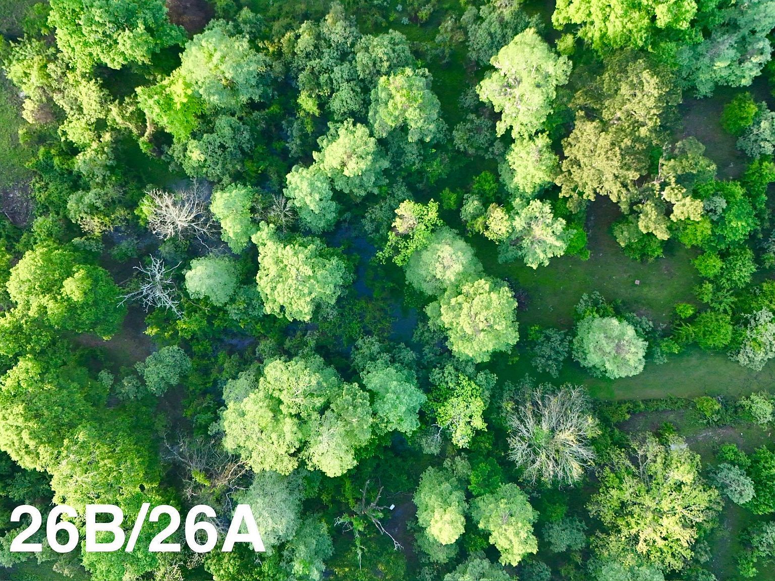 17007 Summerfield South Rd Prairieville, LA 70769 - Thumbnail 3