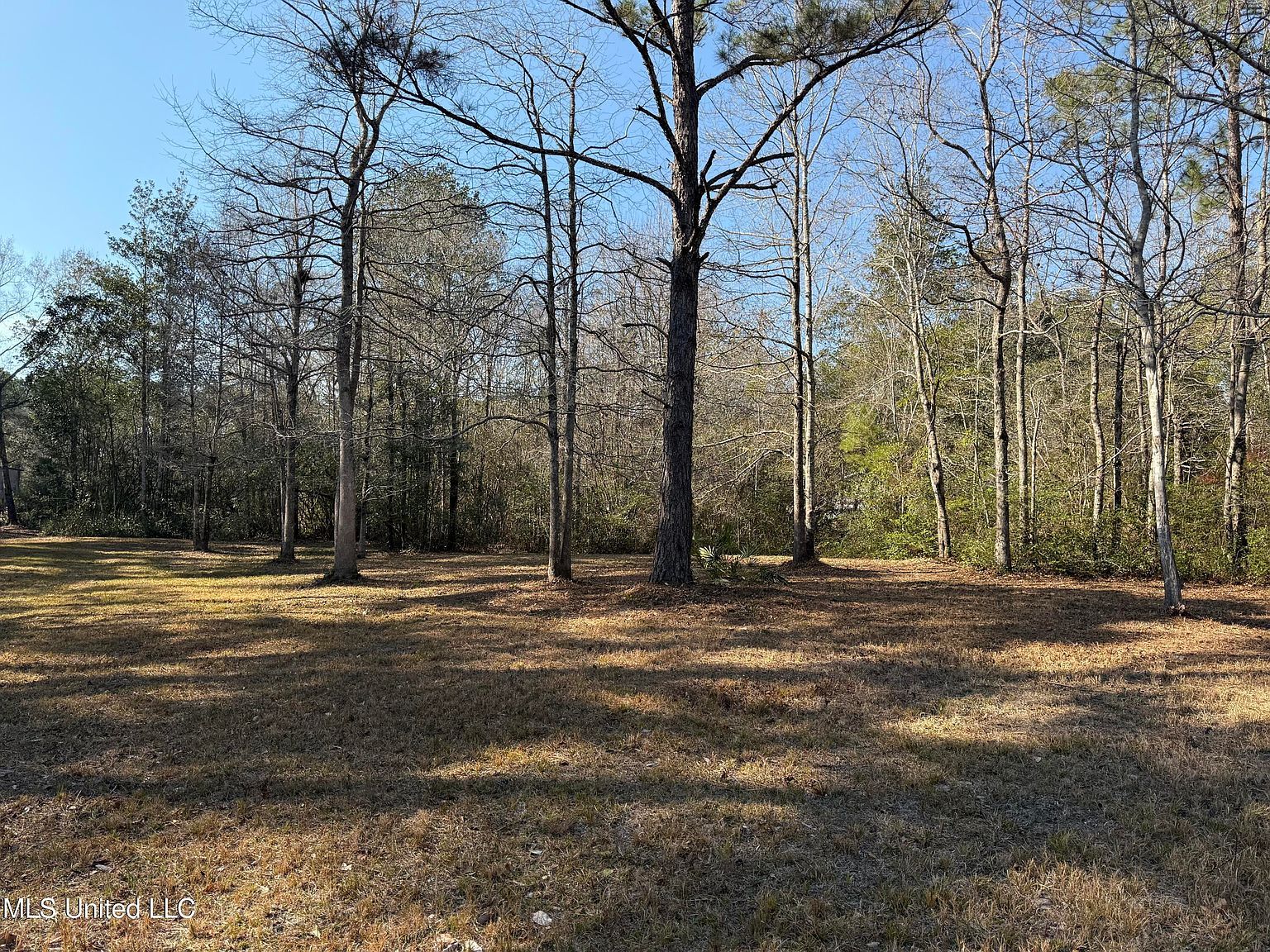 15407 Old Highway 15 Diberville, MS 39540 - Thumbnail 3