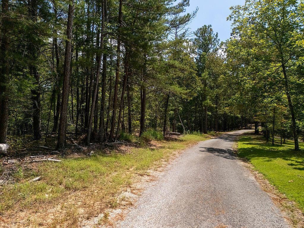 10 Ridgeview Dr Jasper, AL 35504 - Thumbnail 3