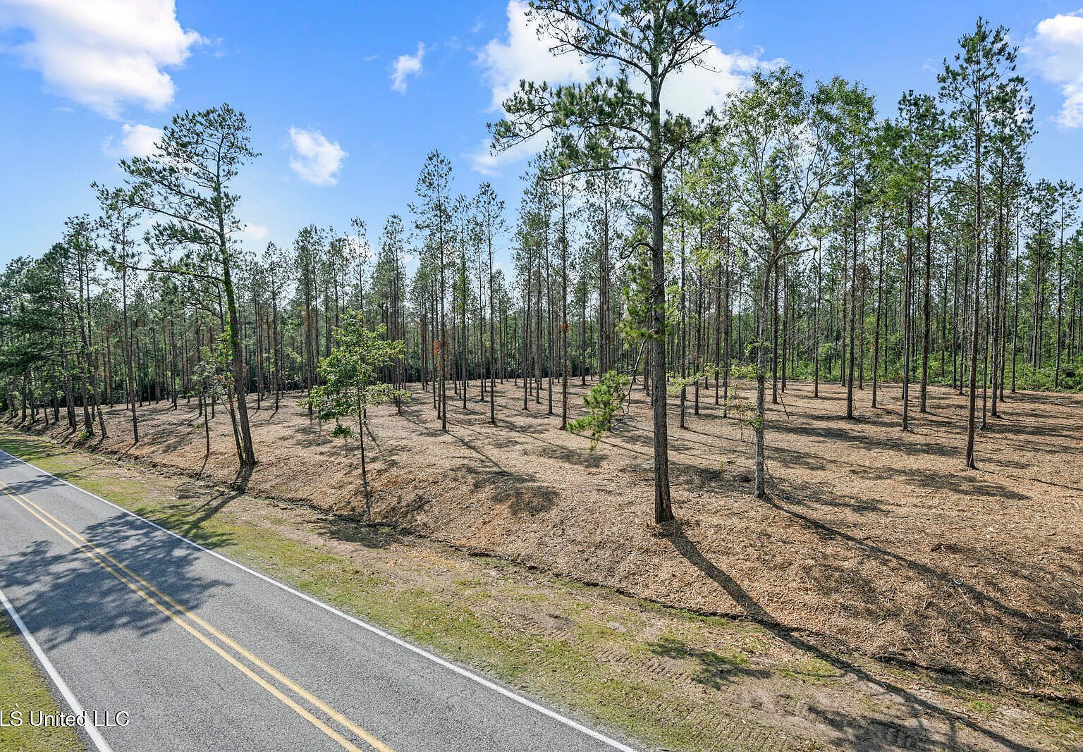 Nhn Ramsey Rd Saucier, MS 39574 - Thumbnail 3