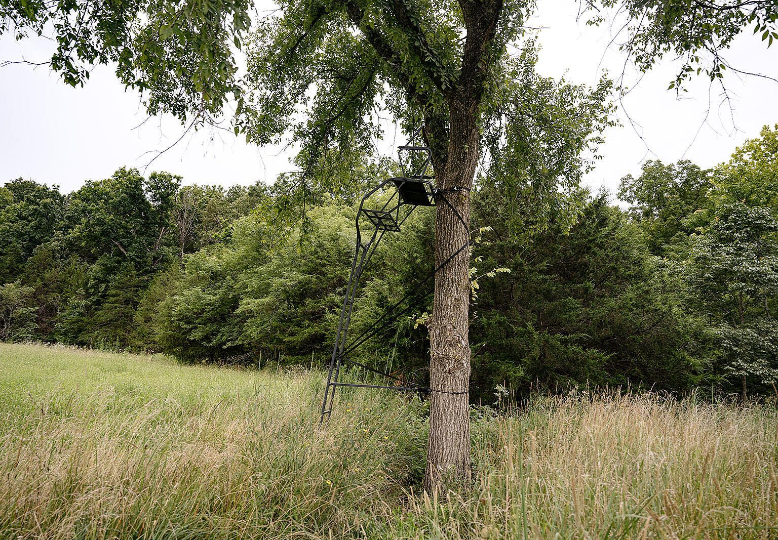 0 County Road 443 Cross Timbers, MO 65634 - Thumbnail 3