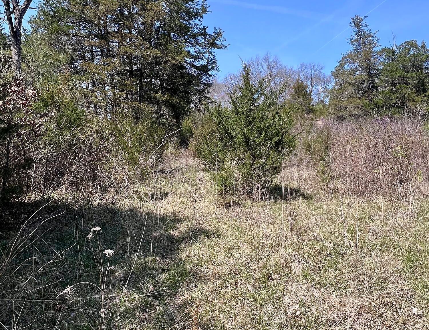 0 Indian Ln Hermitage, MO 65668 - Thumbnail 3