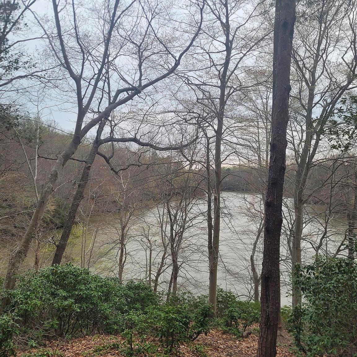 12728 Cordova Ct Lusby, MD 20657 - Thumbnail 3