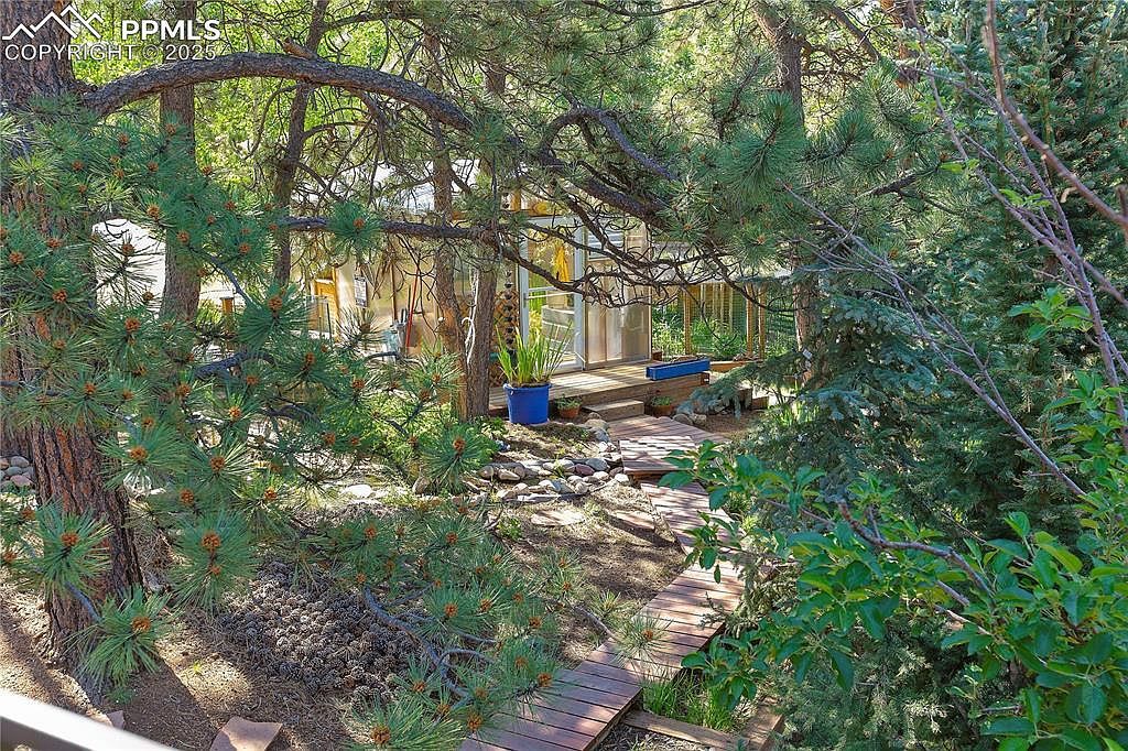 566 Spring Valley Dr Divide, CO 80814 - Thumbnail 3