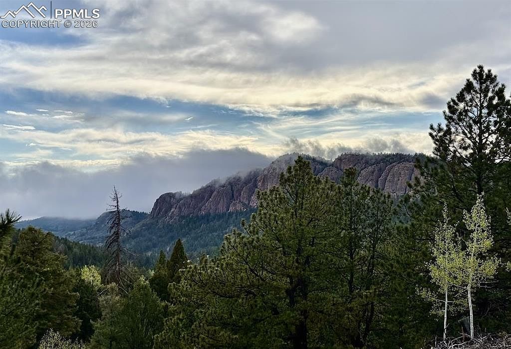 715 Crystal Dr Cripple Creek, CO 80813 - Thumbnail 3