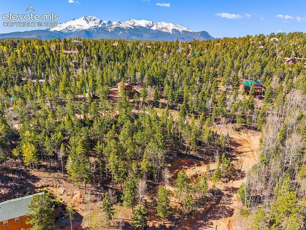 413 Wakanda Trl Woodland Park, CO 80863 - Thumbnail 3