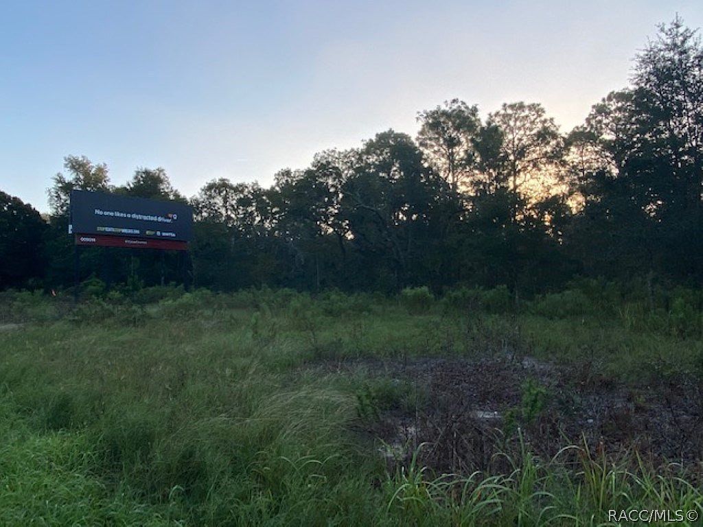 6075 N Lecanto Hwy Beverly Hills, FL 34465 - Thumbnail 3