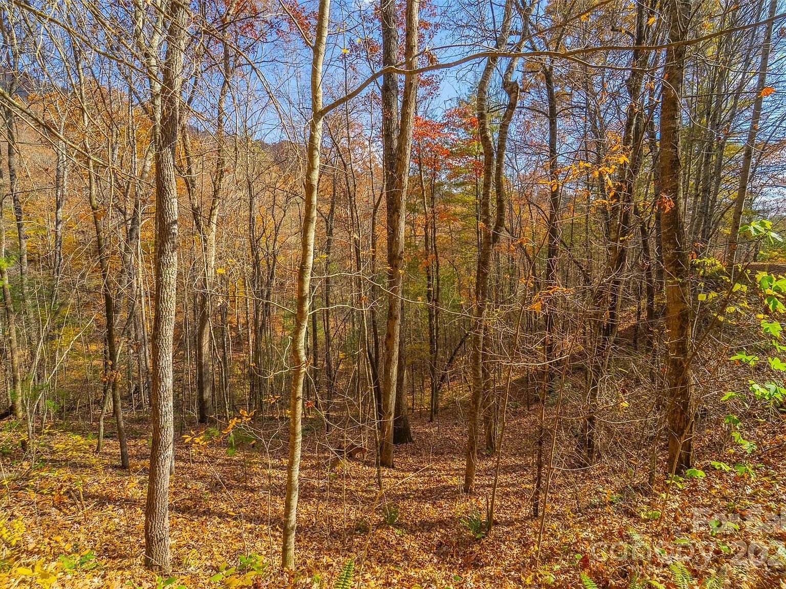 24 Rivers Edge Trl Franklin, NC 28734 - Thumbnail 3