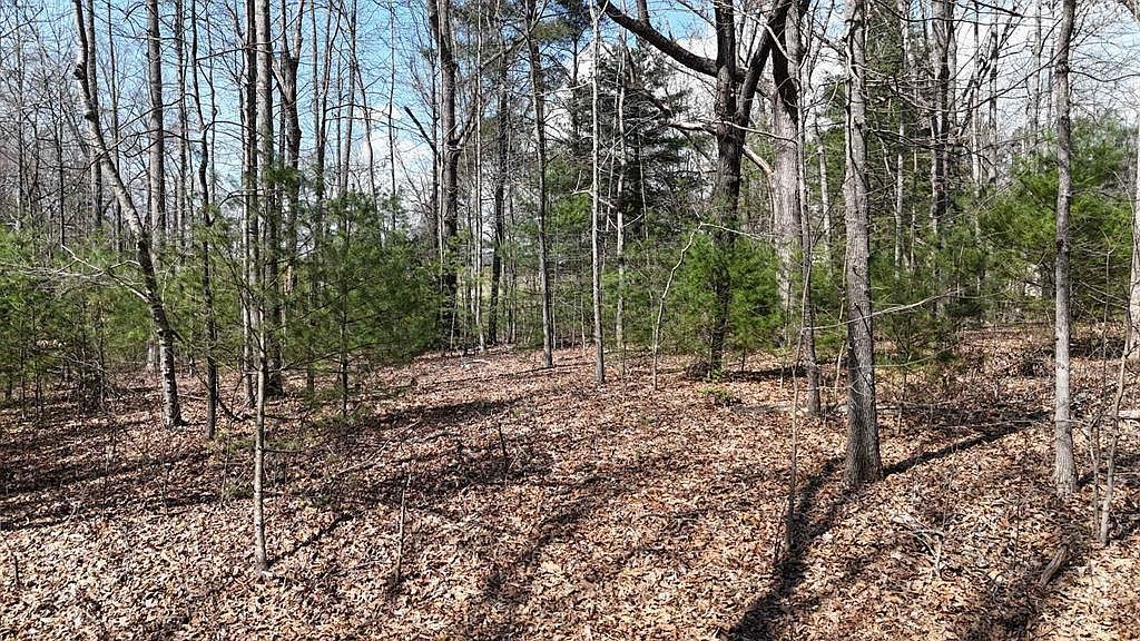 12 Jh Berrong Dr Hayesville, NC 28904 - Thumbnail 3