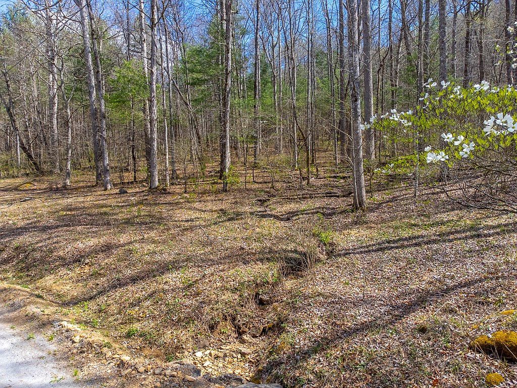 306 Cedar Creek Farm Rd Tuckasegee, NC 28783 - Thumbnail 3