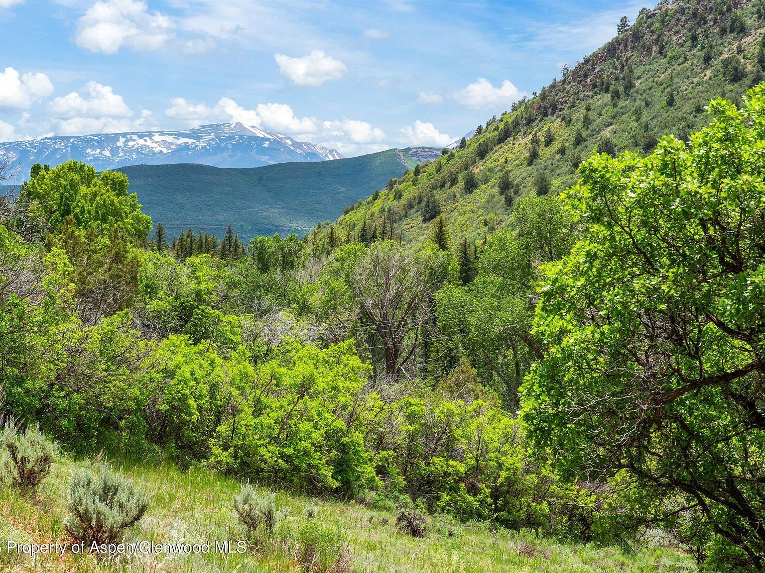 354 Snowmass Creek Rd Snowmass, CO 81654 - Thumbnail 3