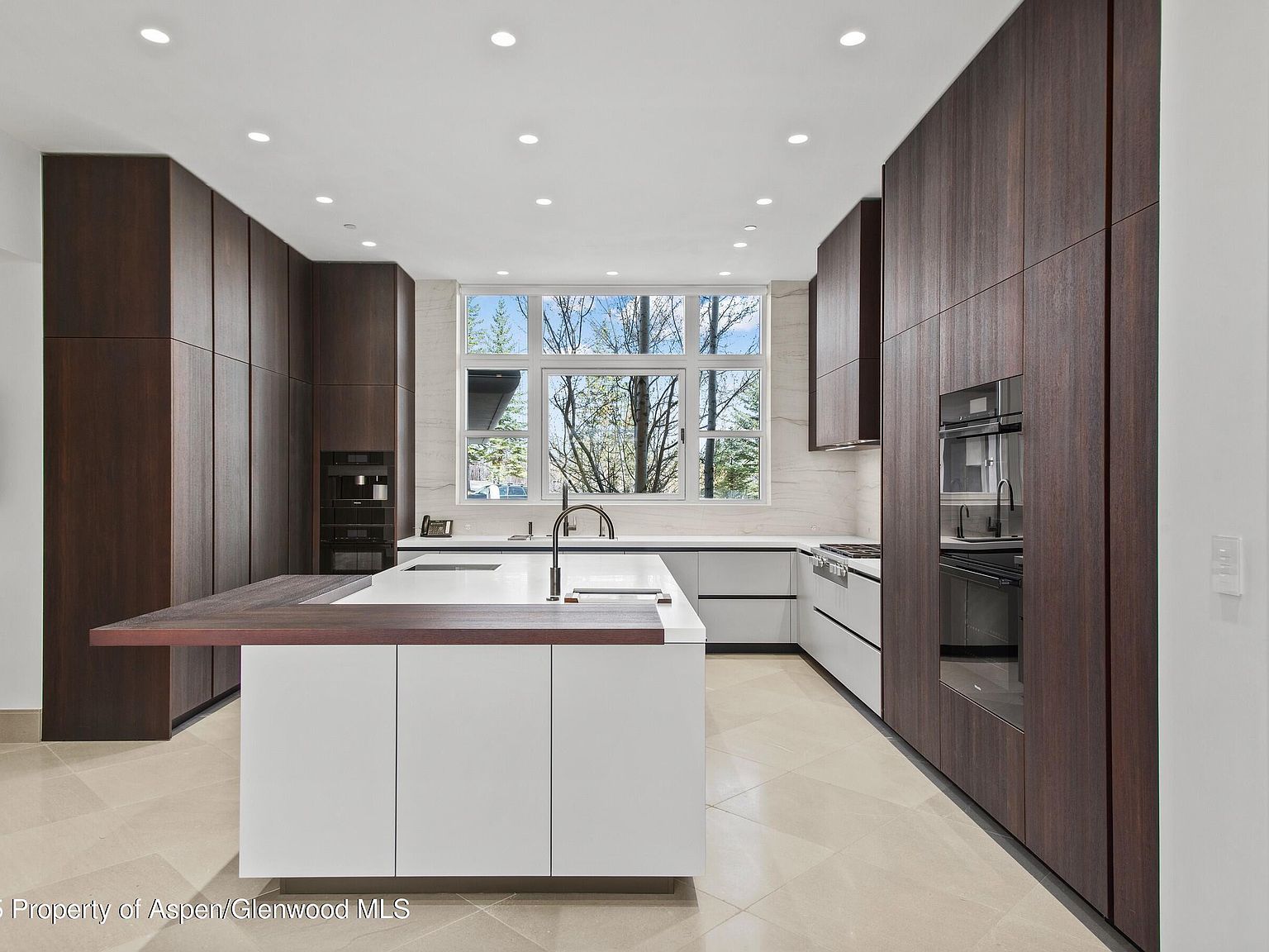 401 Eagle Park Dr Aspen, CO 81611 - Thumbnail 3