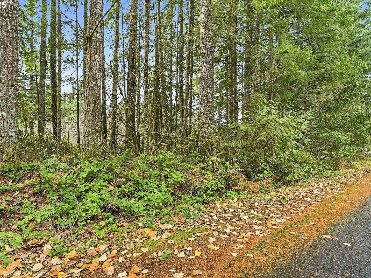 65344 E Sandy River Ln Rhododendron, OR 97049 - Thumbnail 3