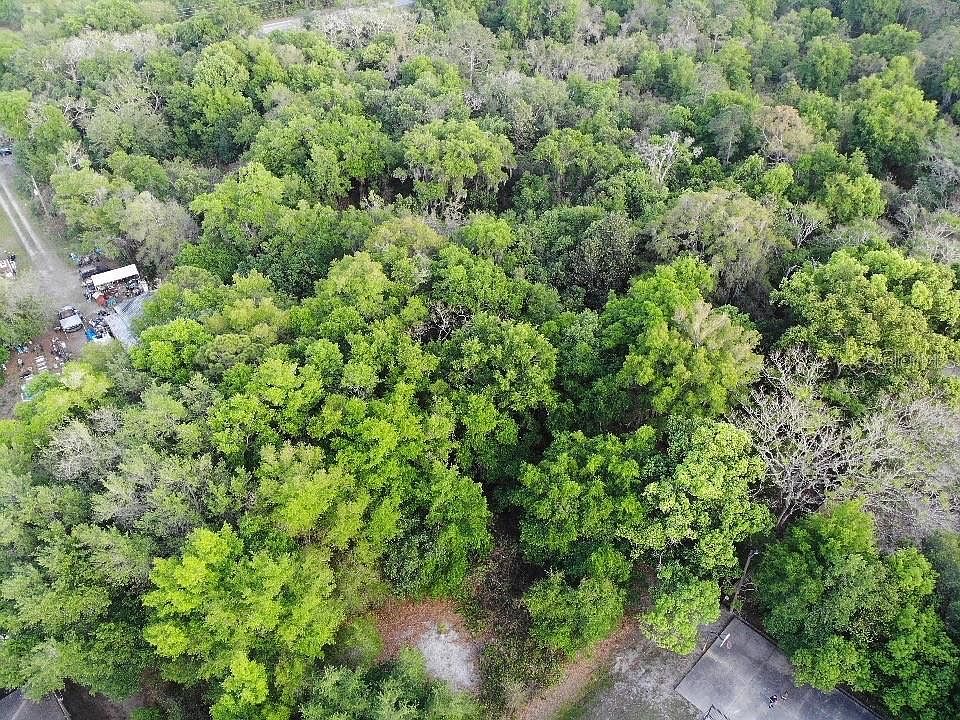 2156 Old Hickory Tree Rd Lot 55 Saint Cloud, FL 34772 - Thumbnail 3