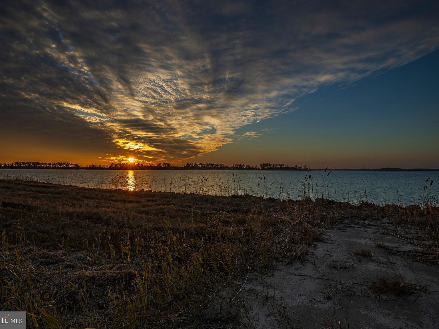 5200 Travelers Rest Rd Cambridge, MD 21613 - Thumbnail 3