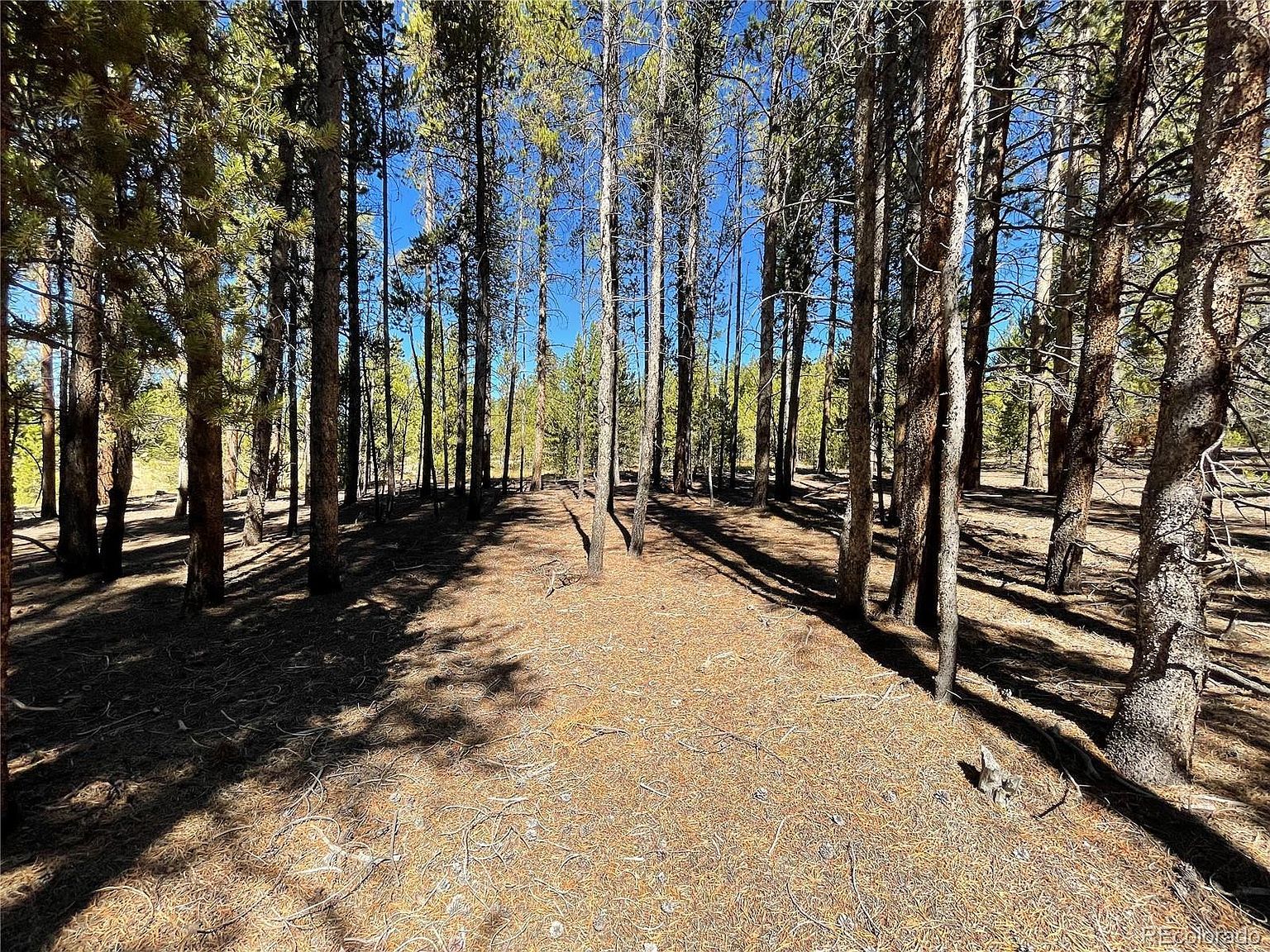 451 Virginia Ave Leadville, CO 80461 - Thumbnail 3