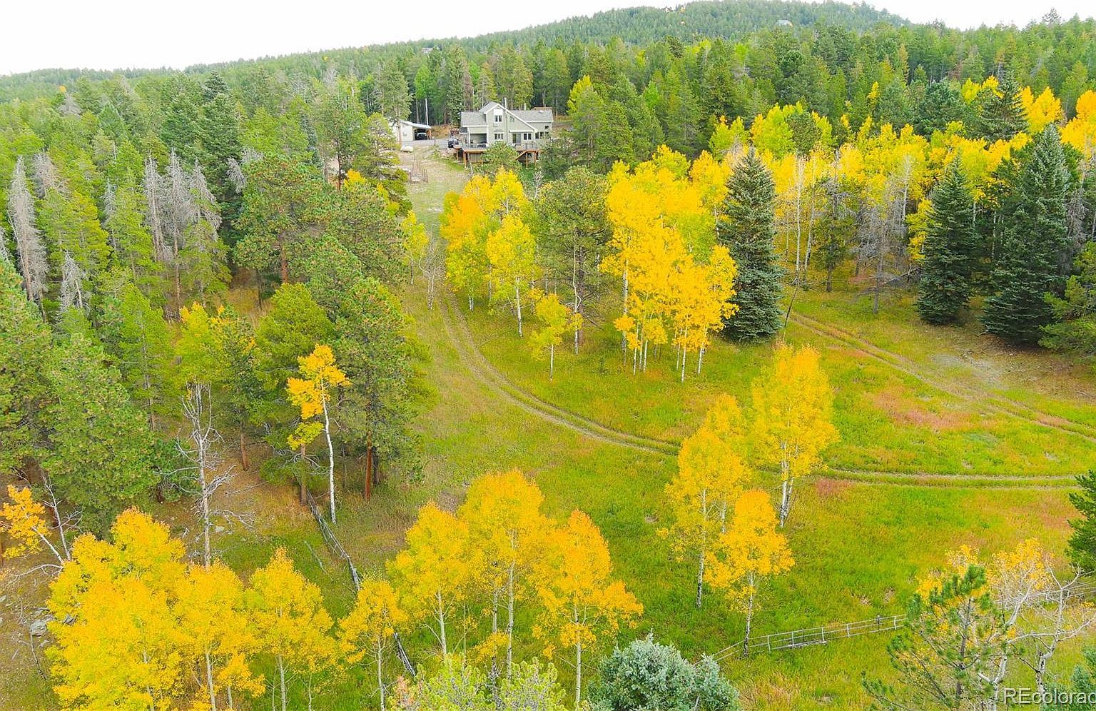 27987 Richmond Hill Rd Conifer, CO 80433 - Thumbnail 3