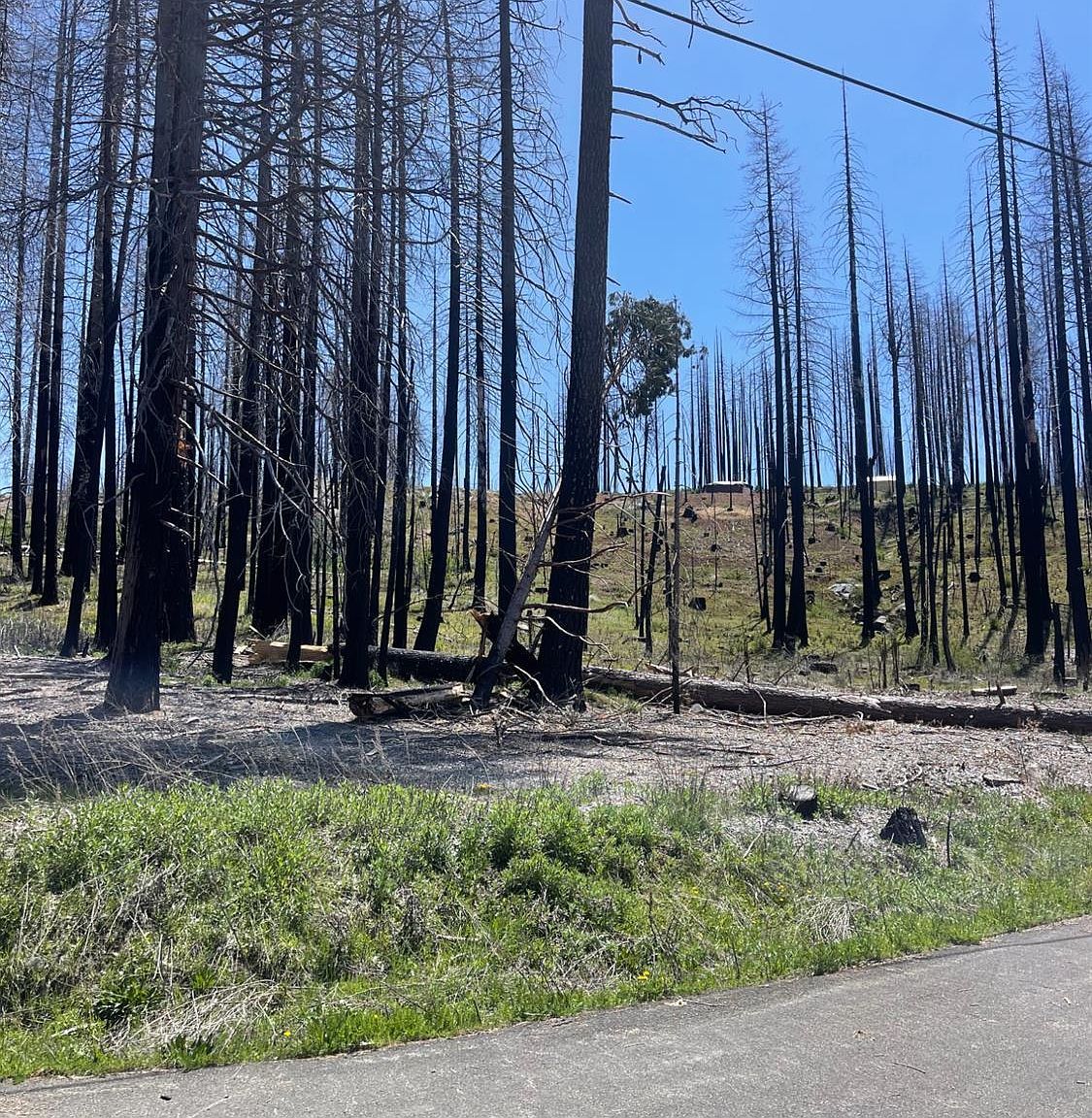 5106 Parkside Dr Grizzly Flats, CA 95636 - Thumbnail 3