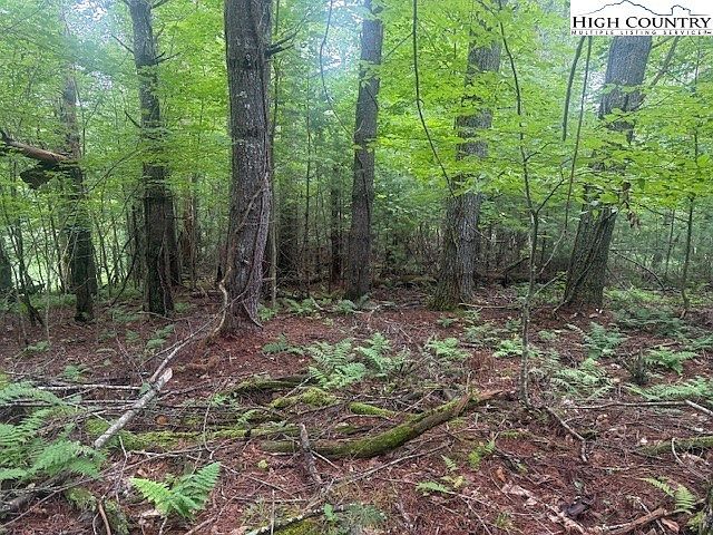 Tbd Beaver Creek Dr West Jefferson, NC 28694 - Thumbnail 3