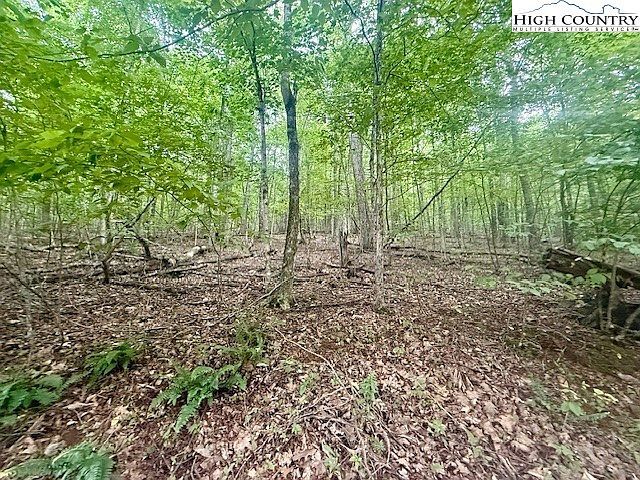 Tbd Winter St Jefferson, NC 28640 - Thumbnail 3